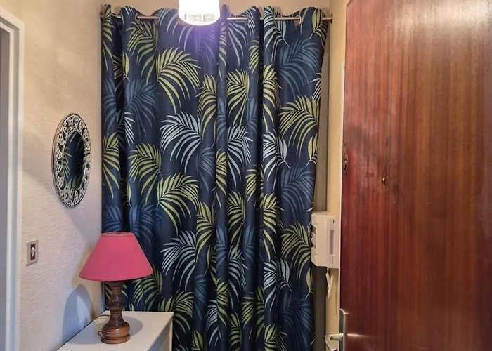 Fabregas Vue 公寓 滨海拉塞讷